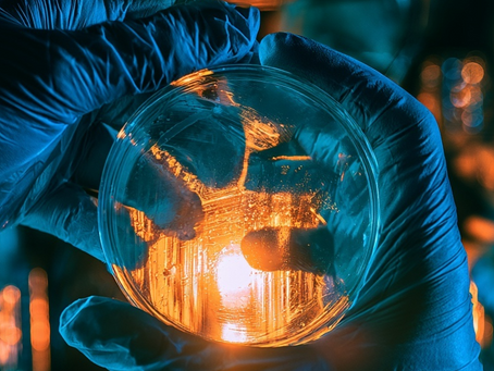 AI designs a genome