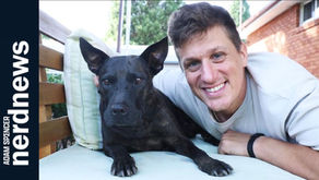 Dog lover Paul with Rosie