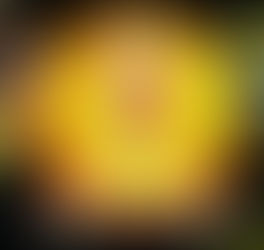 Unlocking the Power of Pyramid Meditation: Mathematical, Scientific, and Spiritual Insights