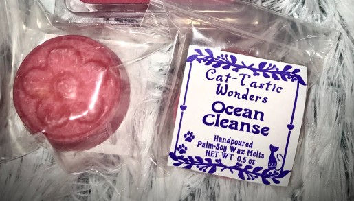 Thumbnail: Closeup Ocean Cleanse Sampler Wax Melt