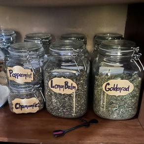 Glass jars showing a variety of Loose Leaf Tea found within the Witch's Kitchen; Magical Market