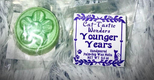 Thumbnail: Closeup Younger Years Sampler Wax Melt