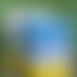 你現在快樂嗎？了解情緒狀態的入門課