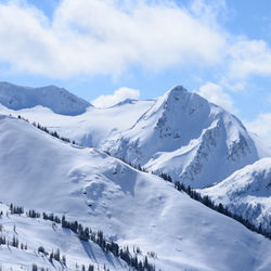 Whistler mountain art