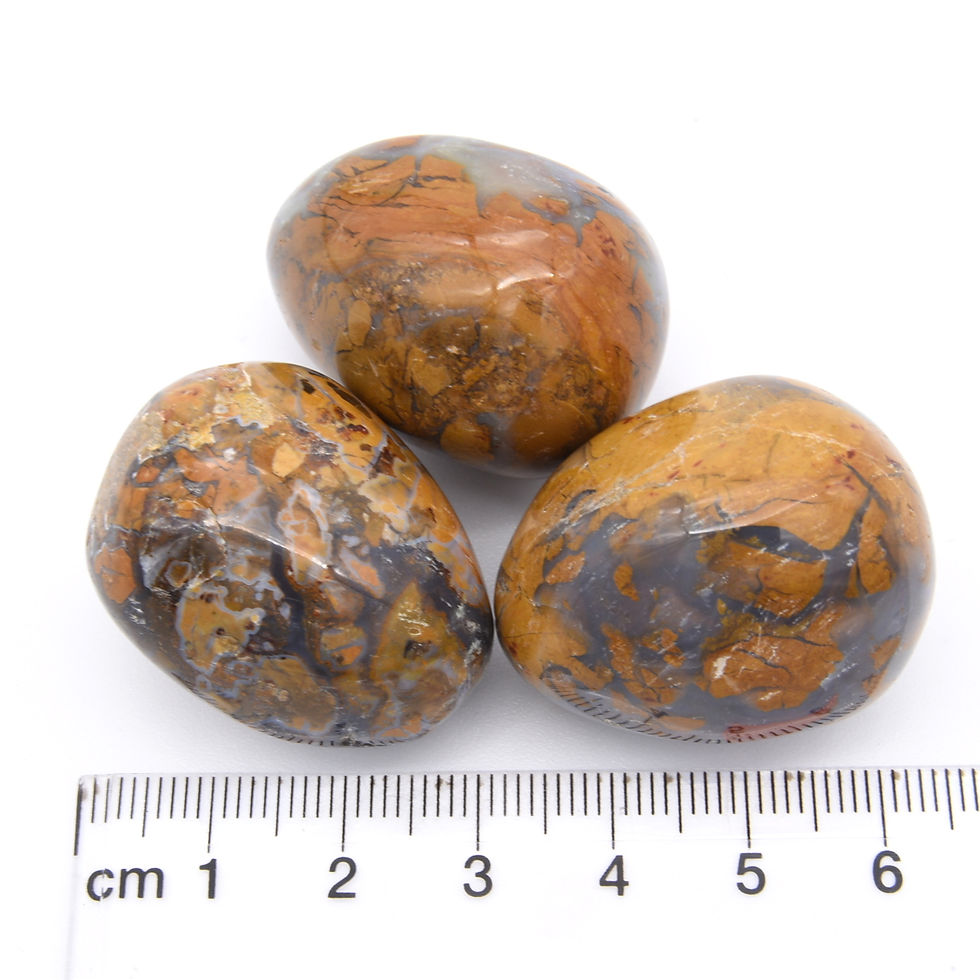 Thumbnail: Timor Tiger Jasper 3x Tumbled Stones 25x35mm