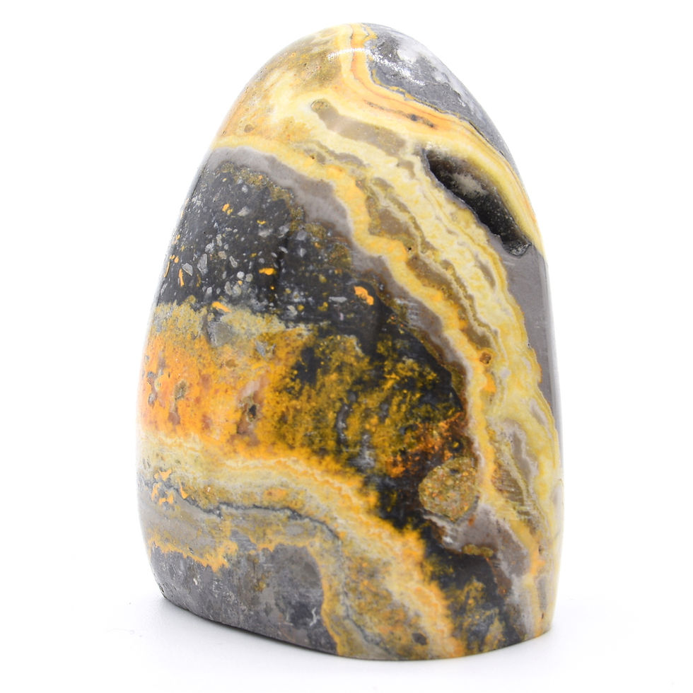 Thumbnail: Bumblebee Jasper Freeform
