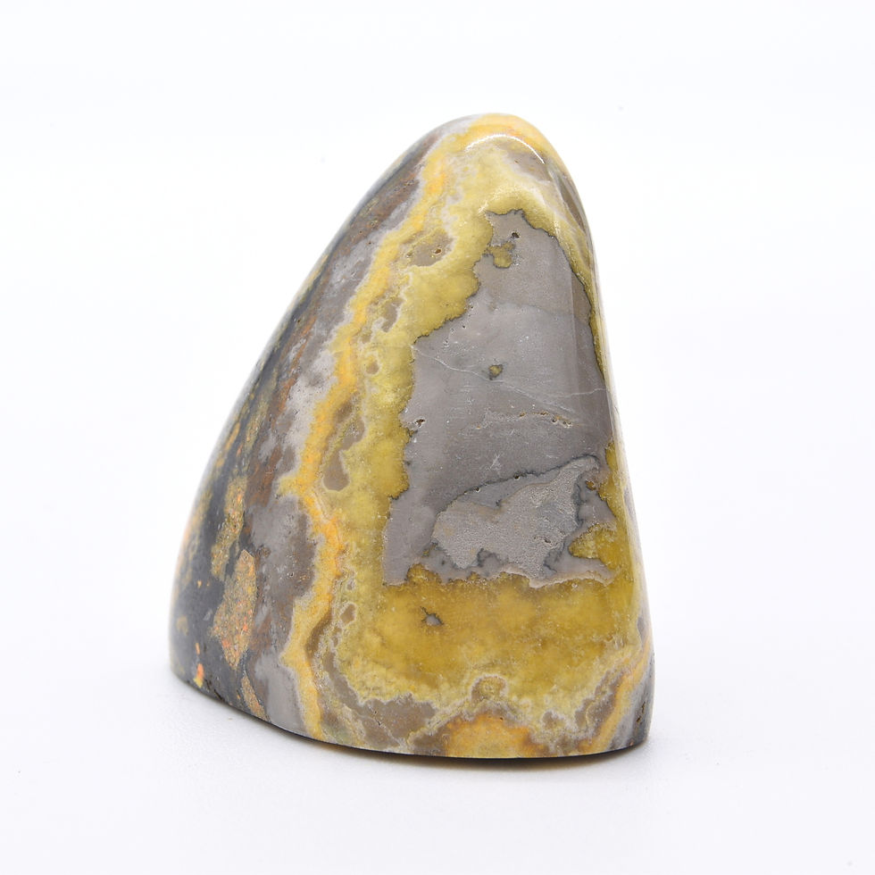 Thumbnail: Bumblebee Jasper Freeform