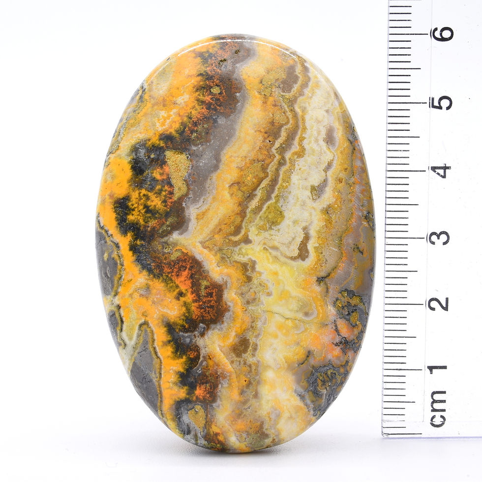 Thumbnail: Bumblebee Jasper Palm Stone