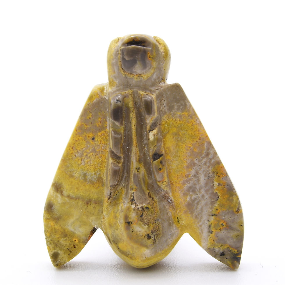 Thumbnail: Bumblebee Jasper Bee