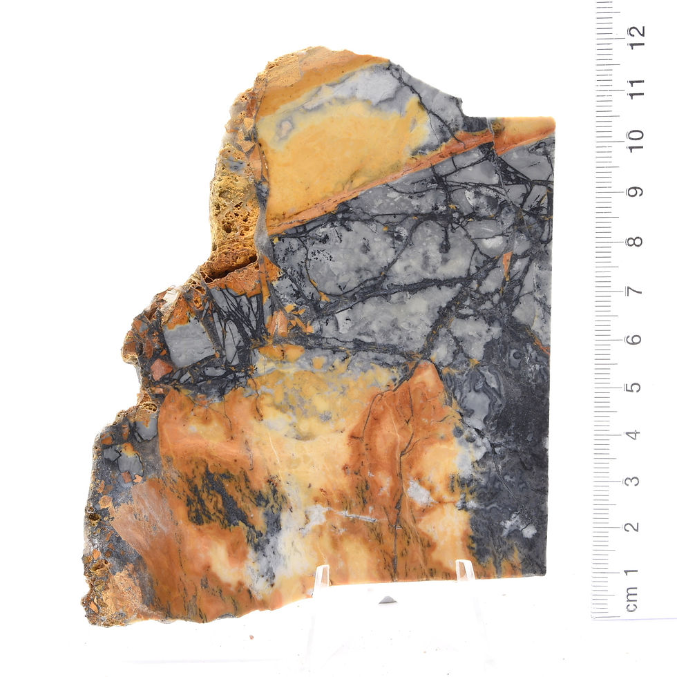 Thumbnail: Maligano Jasper 3x Slab Pack