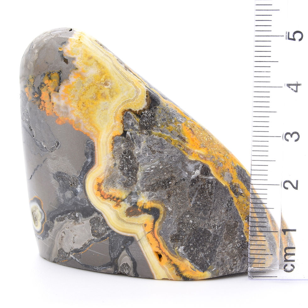 Thumbnail: Bumblebee Jasper Freeform