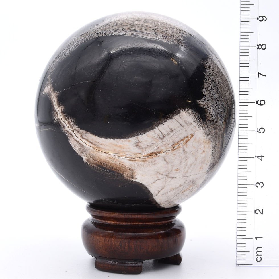 Thumbnail: Fossilised Wood Sphere