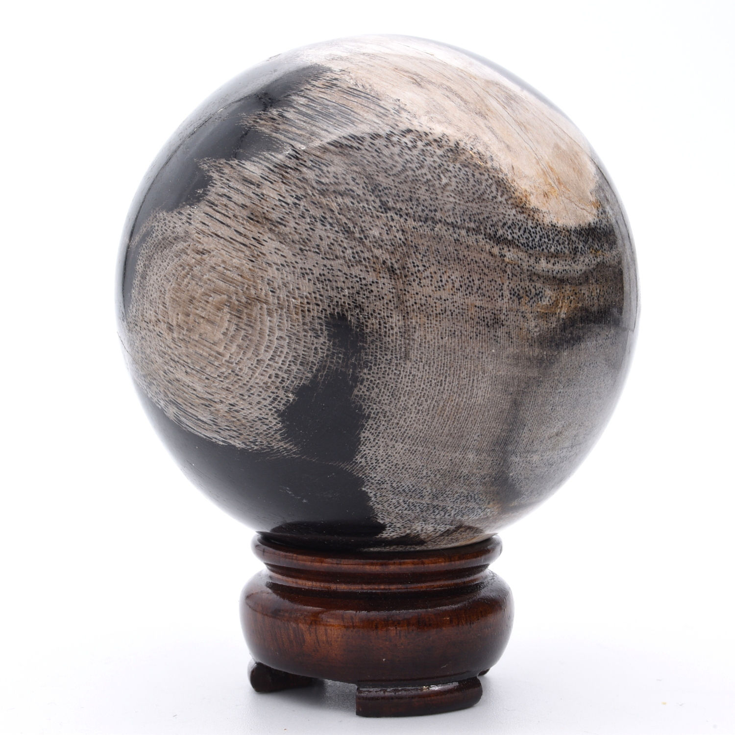 Fossilised Wood Sphere