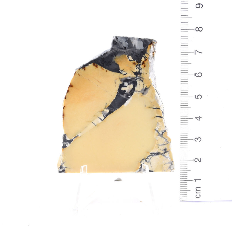 Thumbnail: Maligano Jasper 3x Slab Pack