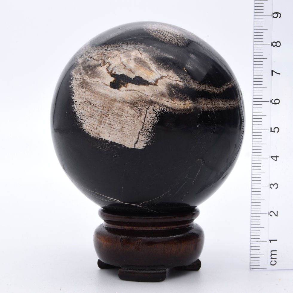 Thumbnail: Fossilised Wood Sphere