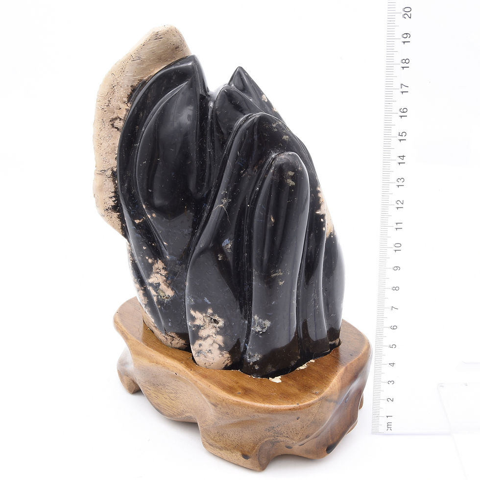 Thumbnail: Fossilised Palm Root Freeform