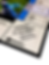 ree