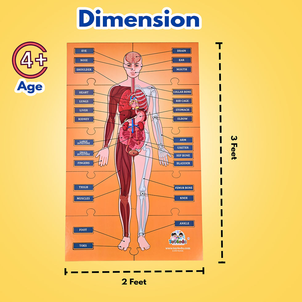 サムネイル： Toy4Edu Human Body Parts Floor Puzzle for Kids - Large Wooden Educational Jigsaw with 60+ Pieces - Perfect STEM Toy Front