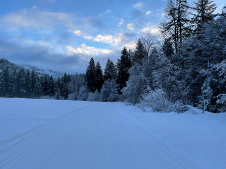 Groomer’s Report - Sunday 2/20/22