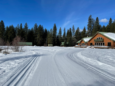 Groomer’s Report - Tuesday 2/15/22