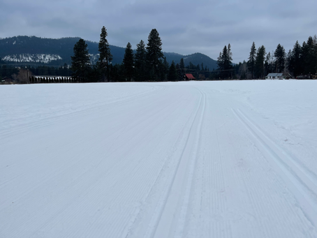 Groomer’s Report - Saturday 1/26/22
