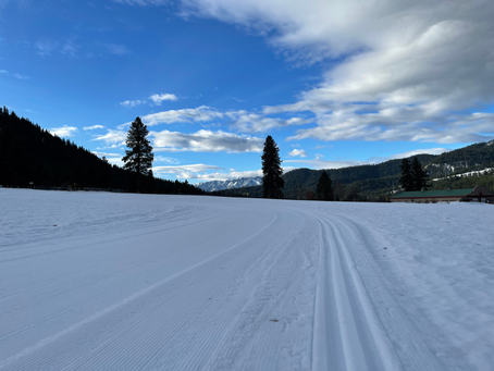 Groomer’s Report - Saturday 2/19/22