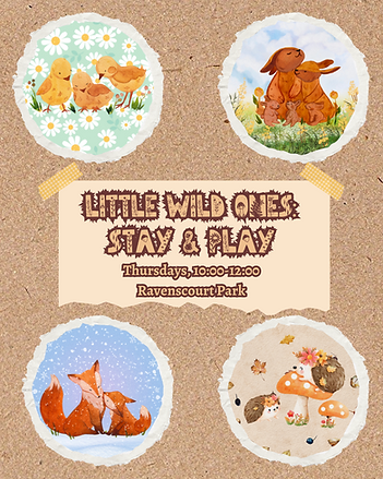 LITTLE WILD ONES STAY & PLAY (4).png