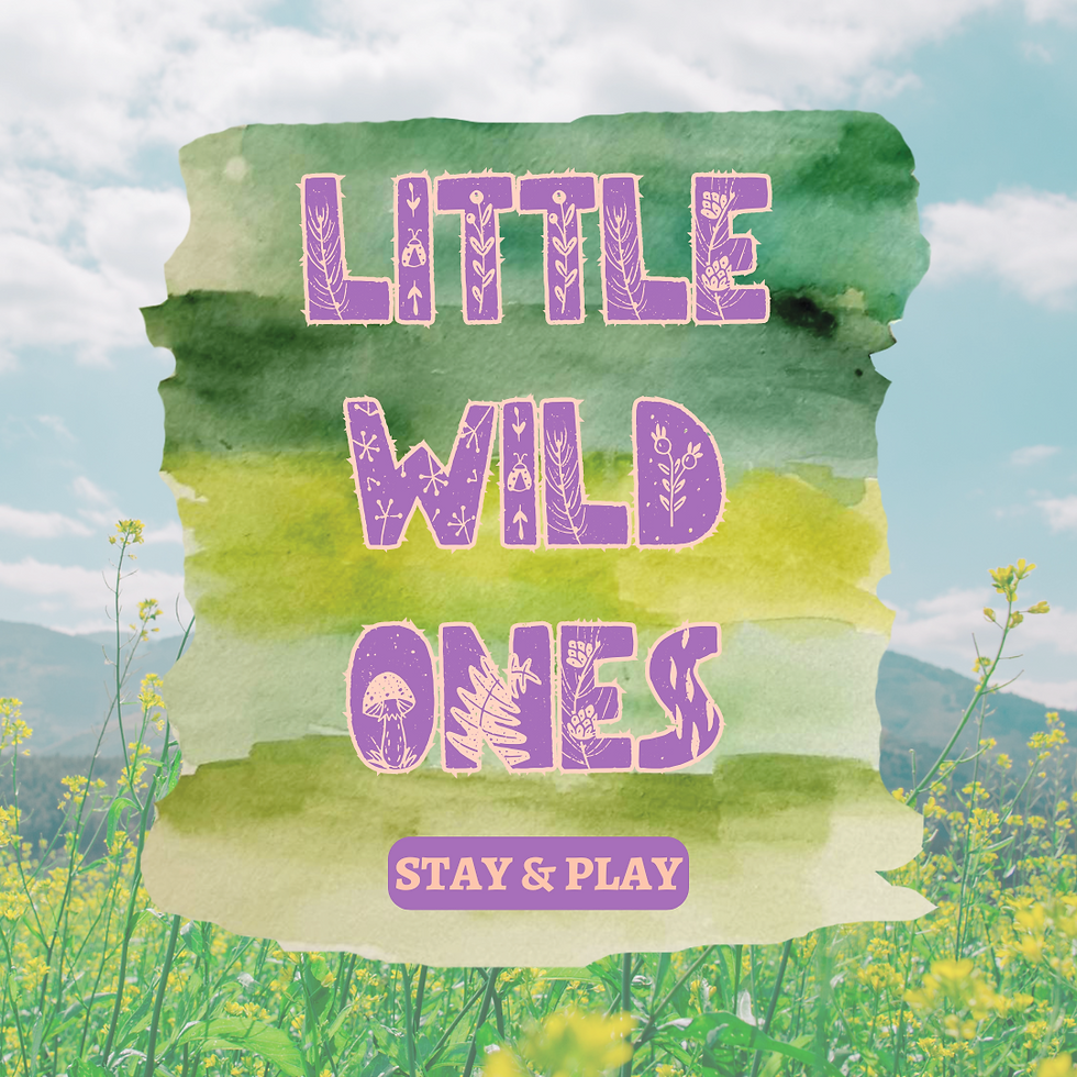 Little Wild Ones: Stay & Play