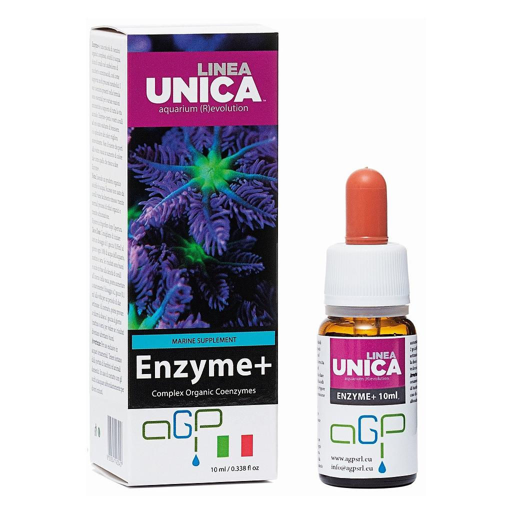 enzyme + 10 ml