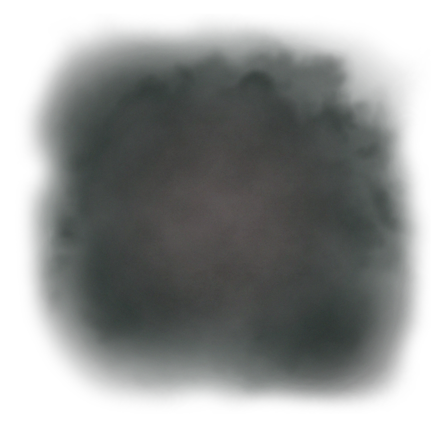 background transparent.webp