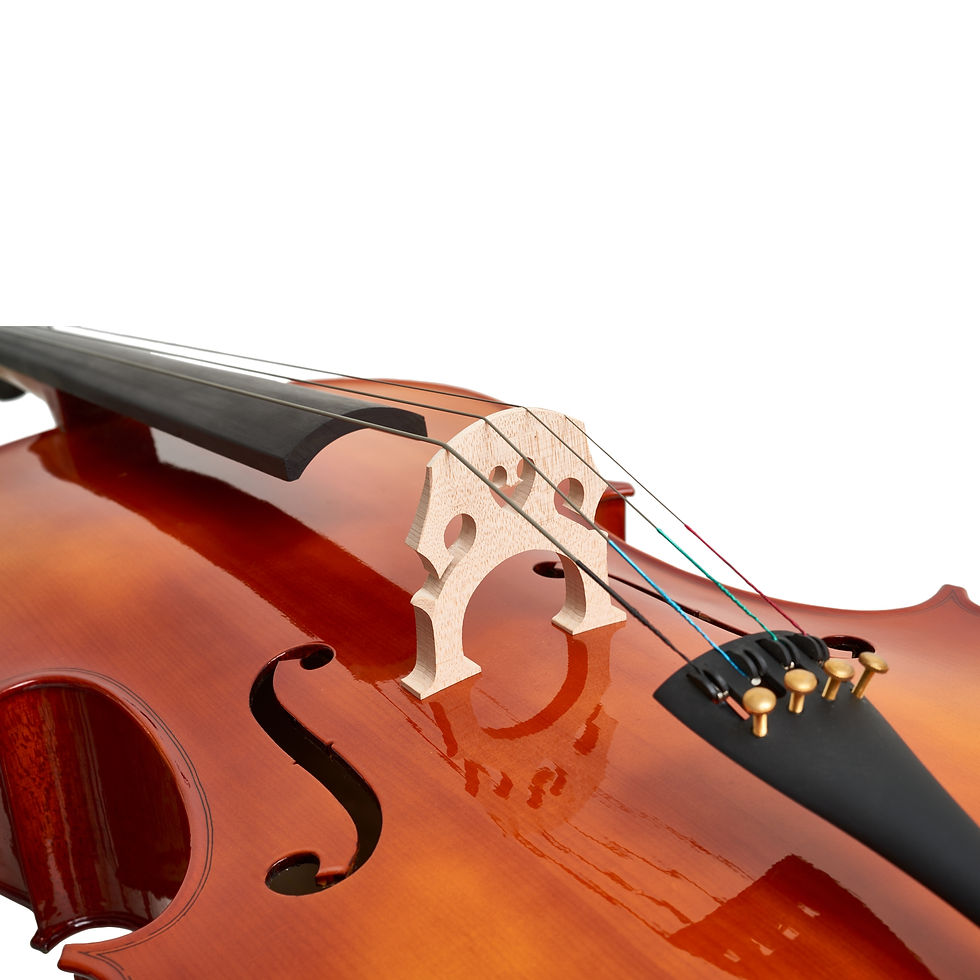 Miniatura: VIOLONCELO EVER-TON MODELO FIRST REF 099 TAMANHO 4 4