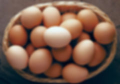 Free Range Eggs large tray of 30