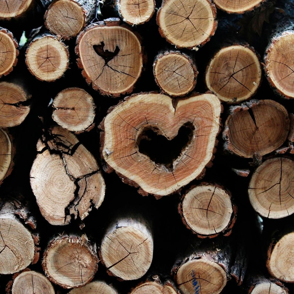 Stack of Logs, heart centre.