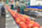 2_Food-industry.jpg