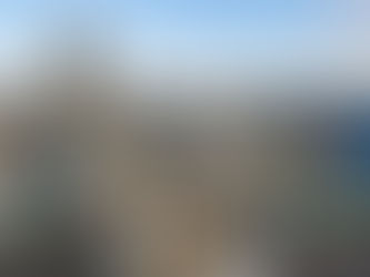 AUTORIZAÇÃO PARA ATUAÇÃO NO MERCADO DE LUBRIFICANTES