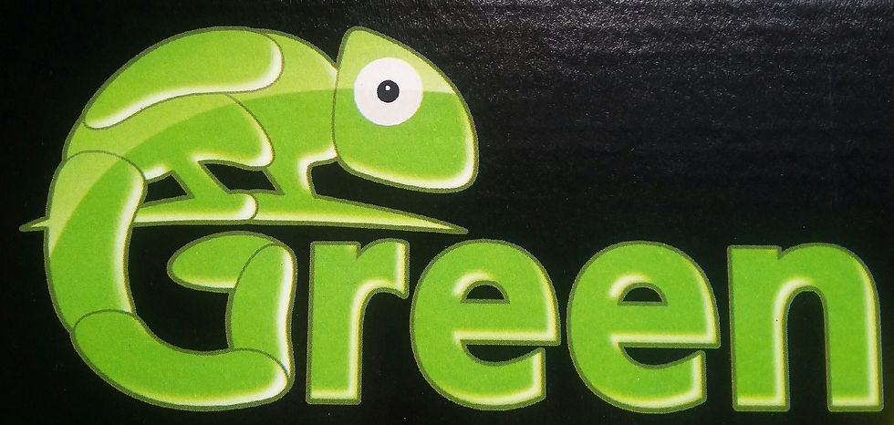 Green Flex vulcanização reparação co