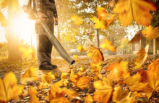 iStock-1058720002.jpg