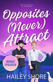 Opposites Never Attract Bonus Epilogue