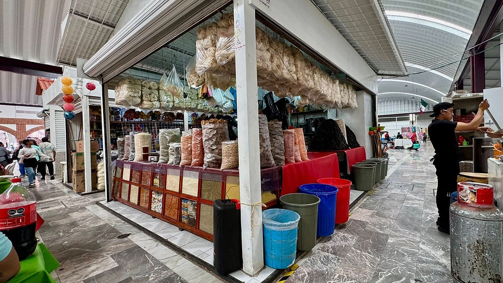 547318702_122148133874717102_1364954513405648893_n