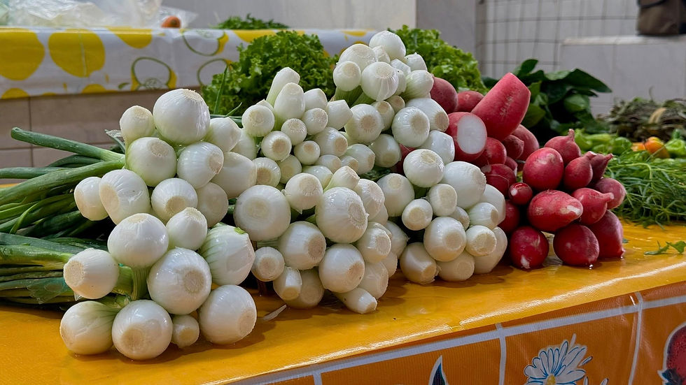 547498966_122148133772717102_2506974259106851965_n