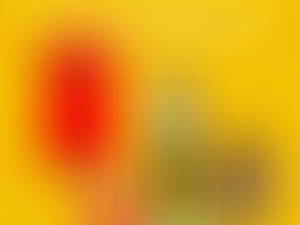 From inbox to doorstep how mail advertising captures consumer attention