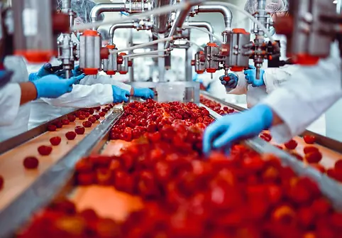 Stainless steel hygienic dished end for pharma and food vessels supplied by a trusted dished end supplier in Chennai, India