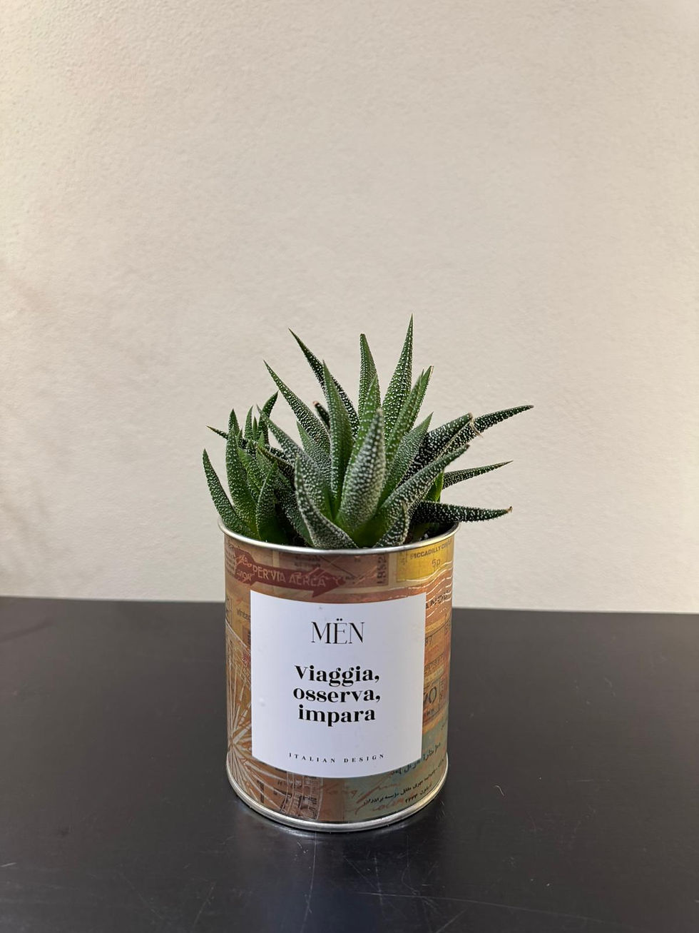 Miniatura: MEN Italian Design
