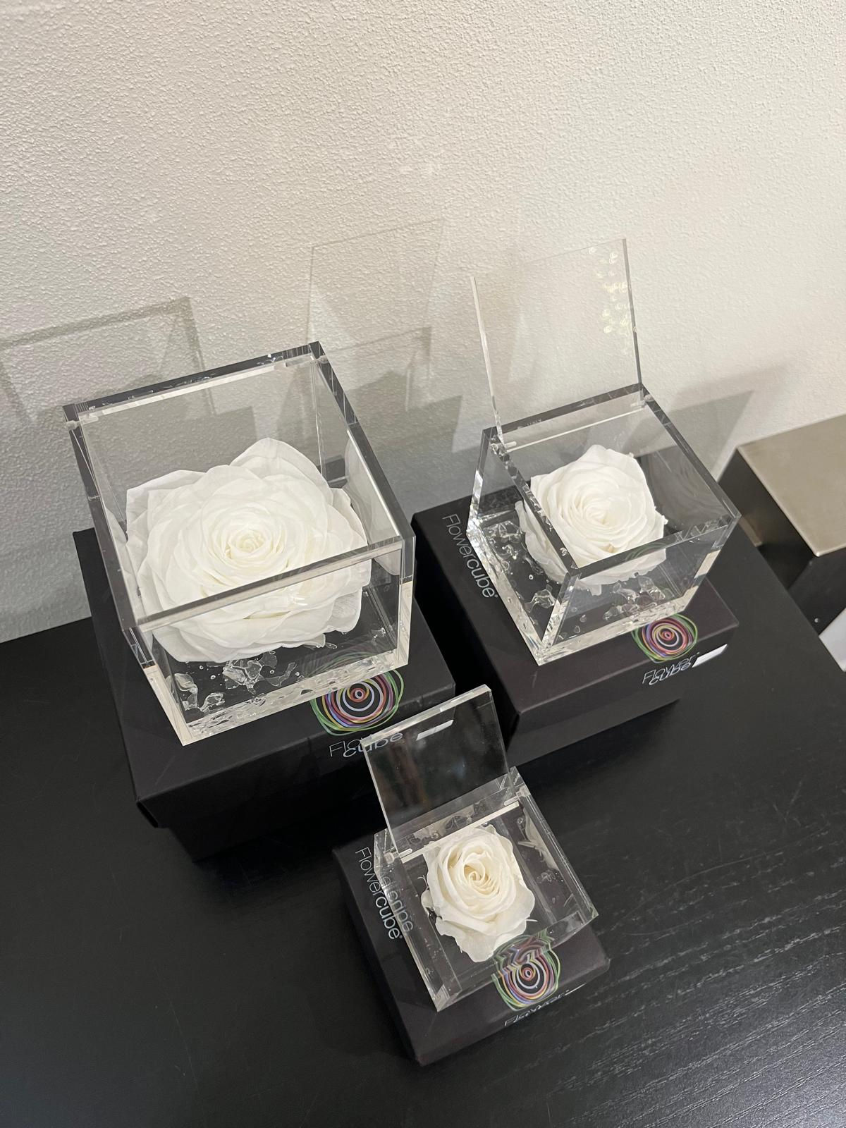 Flower cube - Bianco