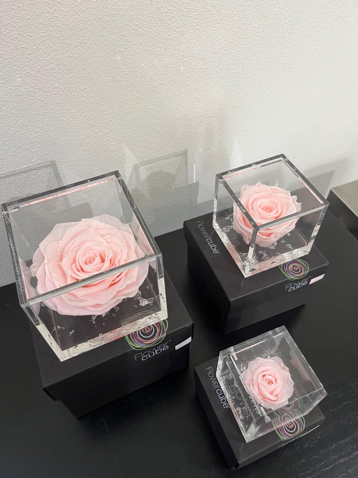 FlowerCube -Rosa Pastello