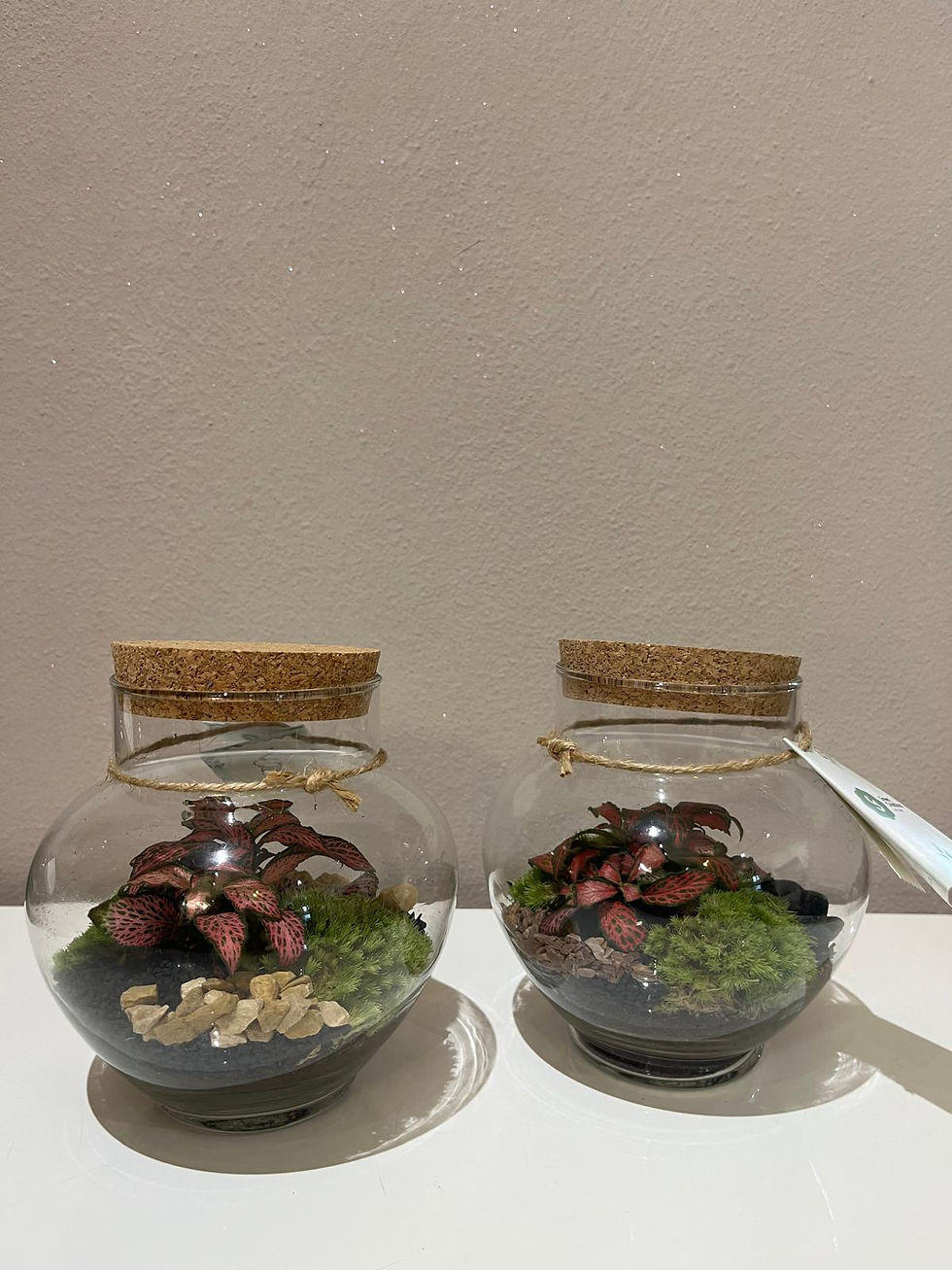 Terrario