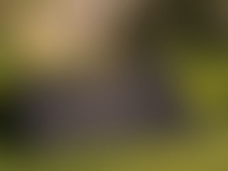 Offset California EV Charging Costs with Plug-In Solar