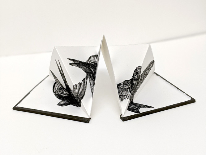 Swifts