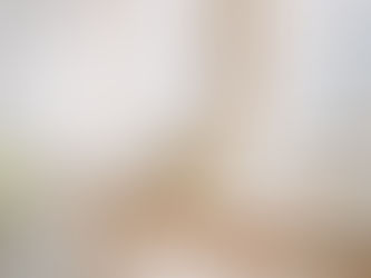 Sunlit luxury living room representing the calm organization of a well-managed household.