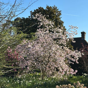 April Jobs